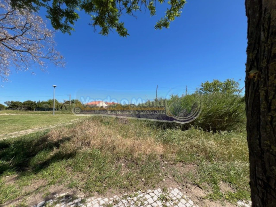 Terreno para Venda em Benavente Foto 4
