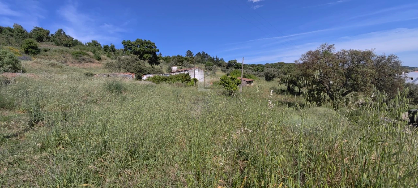 Terreno Misto para Venda em Sé e São Lourenço Foto 7