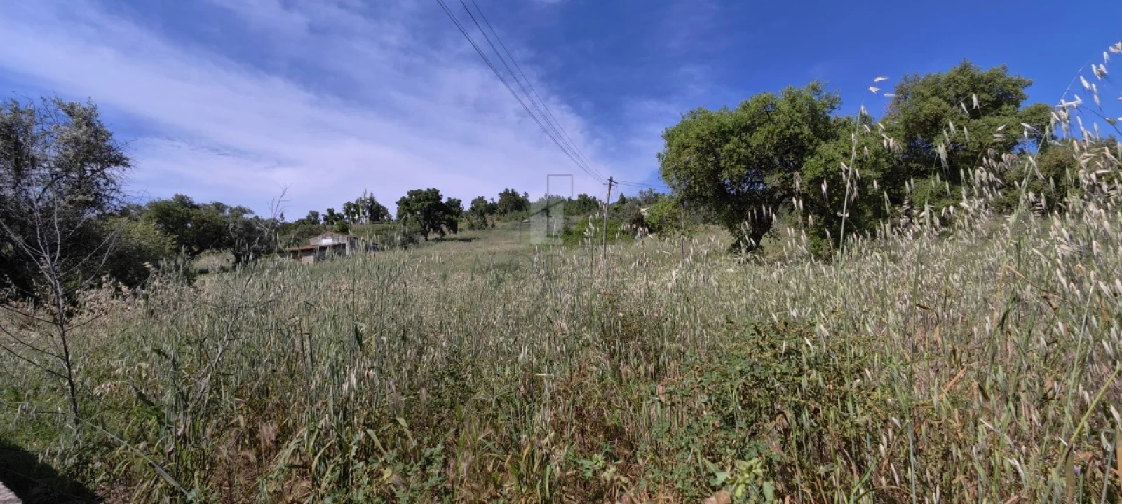Terreno Misto para Venda em Sé e São Lourenço Foto 2