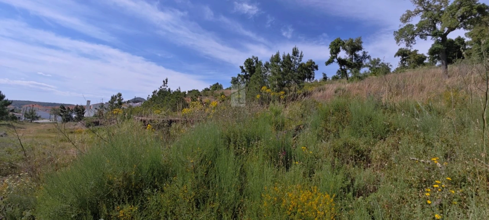 Terreno Misto para Venda em Sé e São Lourenço Foto 3