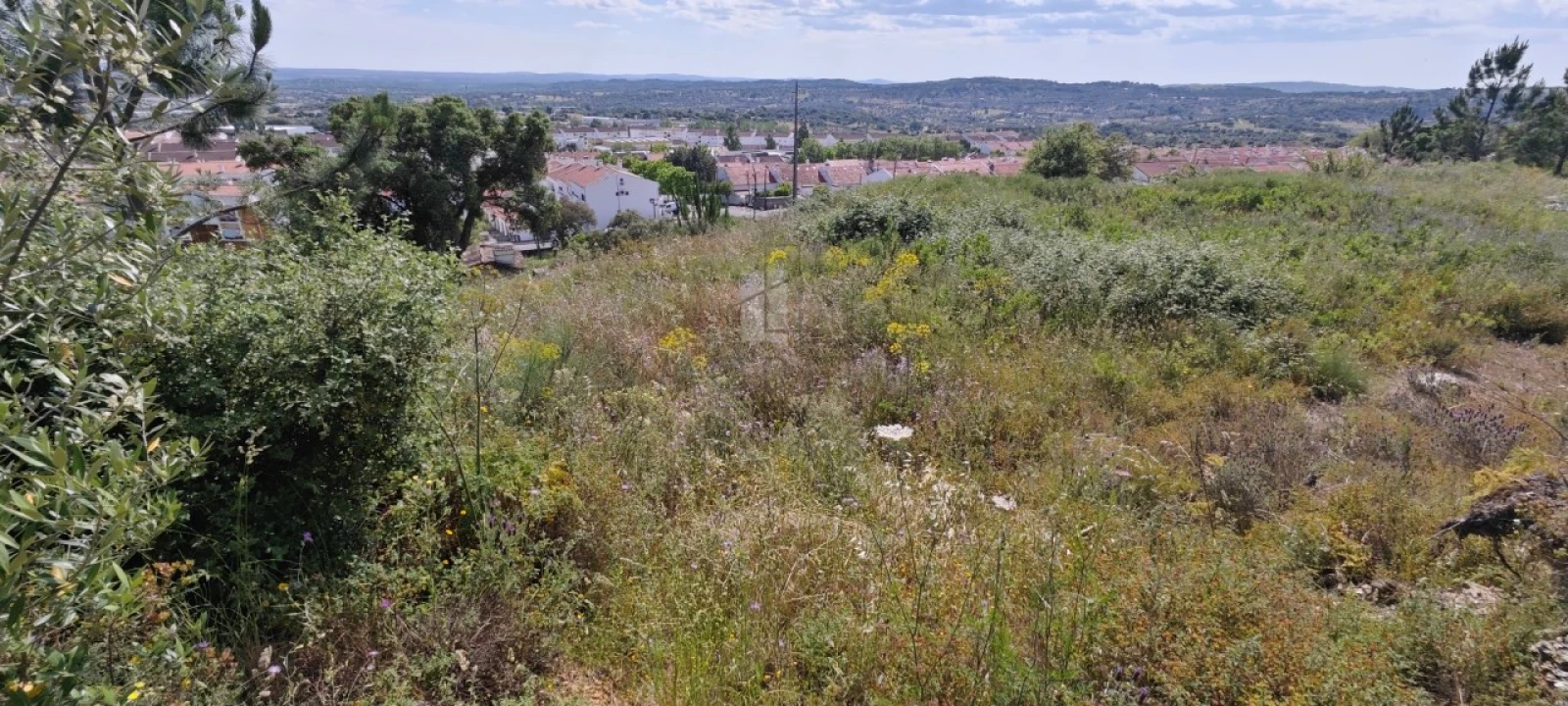 Terreno Misto para Venda em Sé e São Lourenço Foto 10