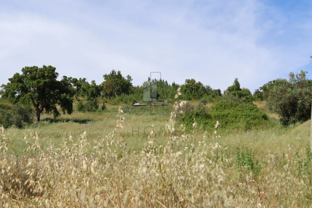 Terreno Misto para Venda em Sé e São Lourenço Foto 11