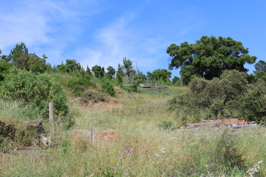Terreno Misto para Venda em Sé e São Lourenço Foto 13