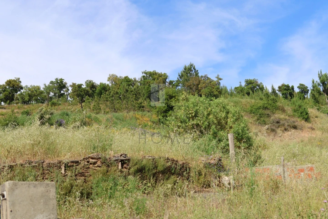 Terreno Misto para Venda em Sé e São Lourenço Foto 14