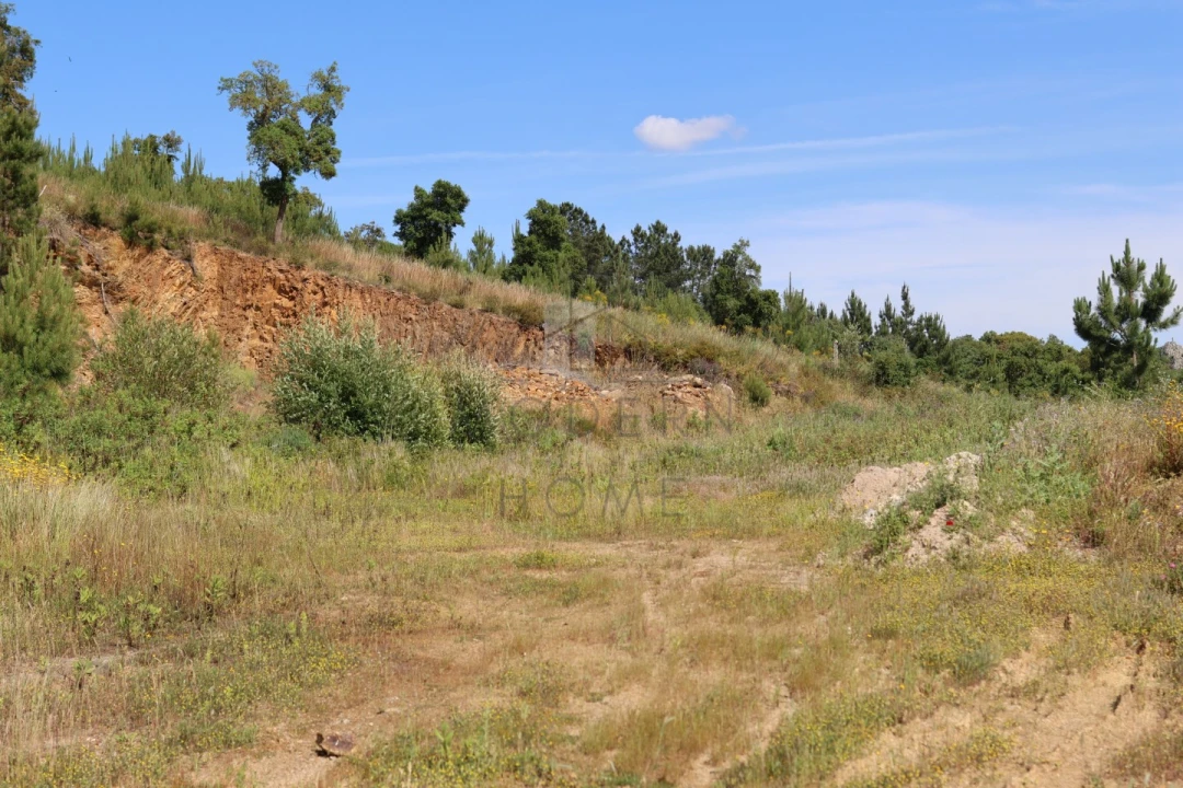 Terreno Misto para Venda em Sé e São Lourenço Foto 12