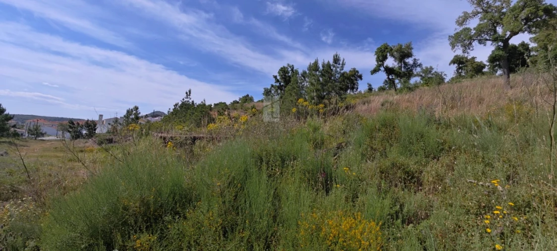 Terreno Misto para Venda em Sé e São Lourenço Foto 3