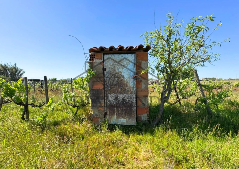 Terreno para Venda em Alpiarça Foto 2