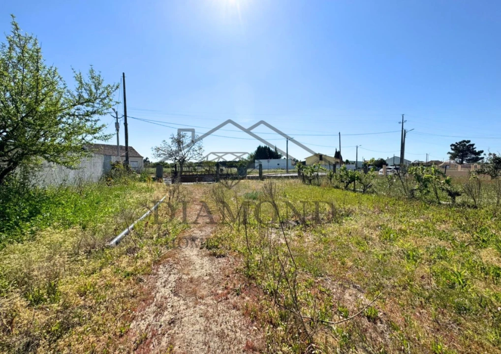 Terreno para Venda em Alpiarça Foto 3