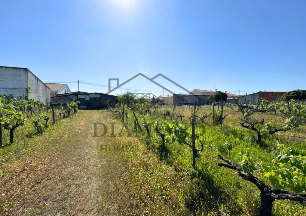 Terreno para Venda em Alpiarça Foto 5