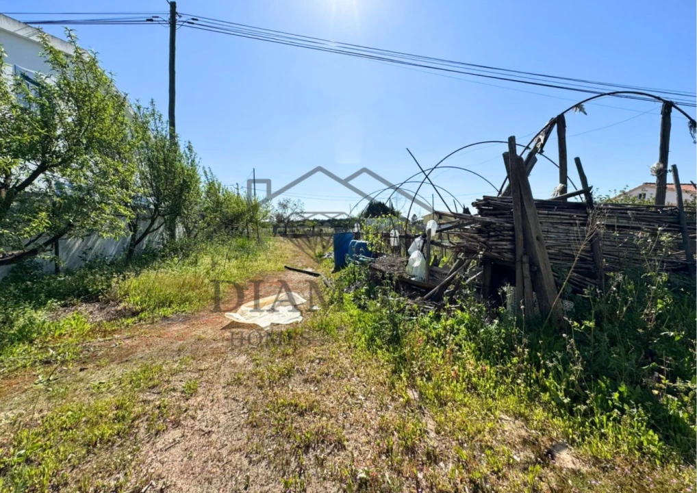 Terreno para Venda em Alpiarça Foto 9