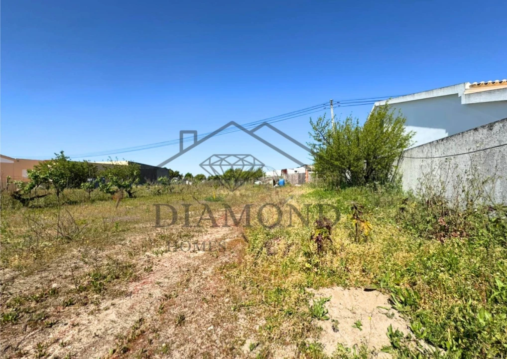 Terreno para Venda em Alpiarça Foto 12