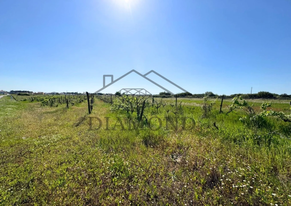 Terreno para Venda em Alpiarça Foto 19