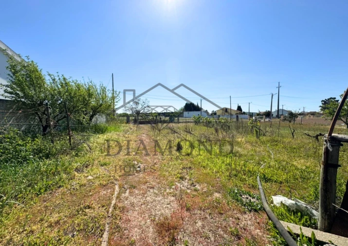Terreno para Venda em Alpiarça Foto 4