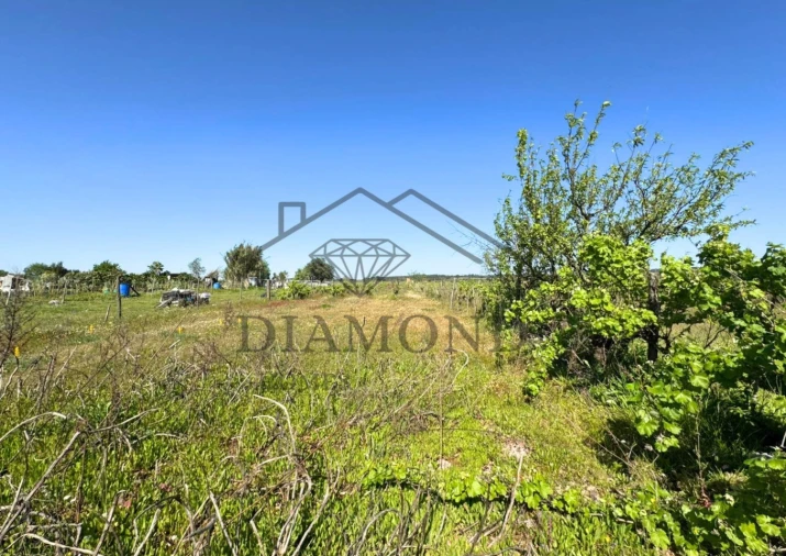 Terreno para Venda em Alpiarça Foto 8