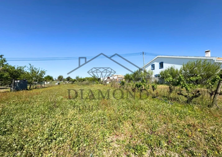 Terreno para Venda em Alpiarça Foto 11