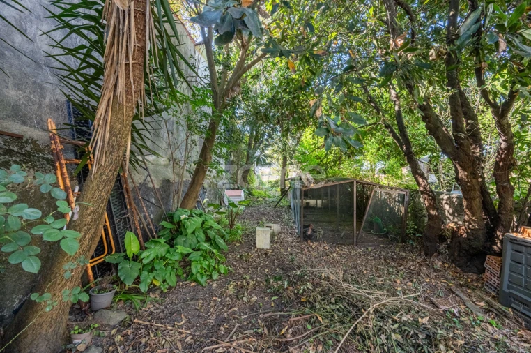 Moradia T4 para Venda em Bonfim Foto 18