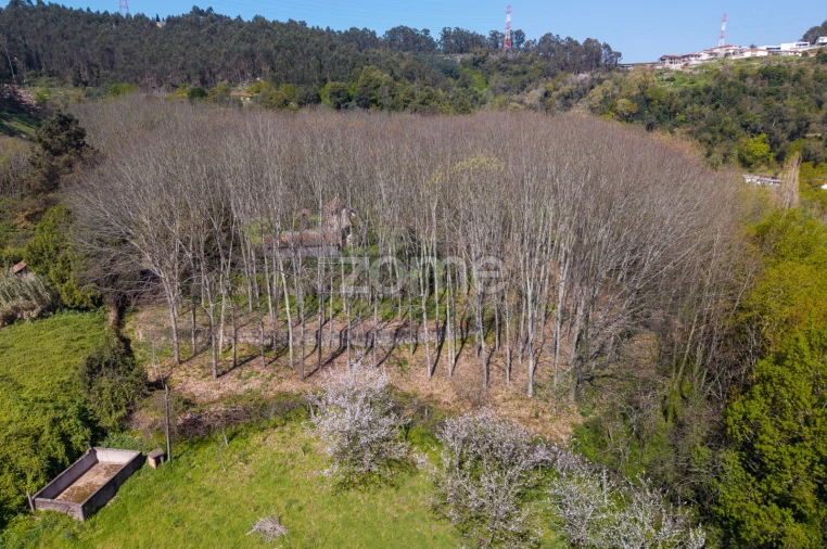 Quinta T2 para Venda em Cete Foto 11