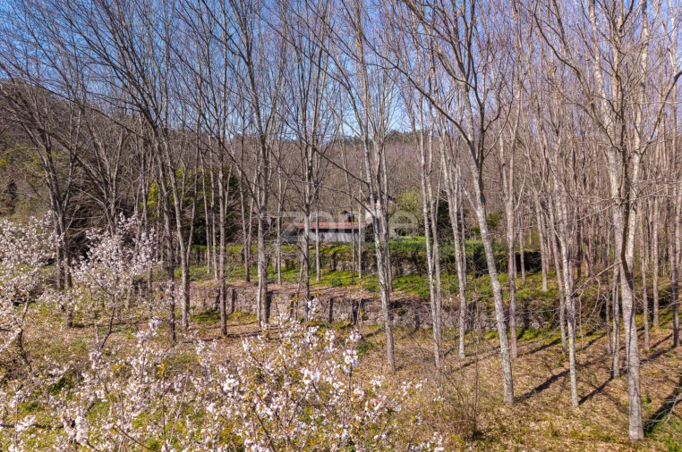 Quinta T2 para Venda em Cete Foto 23