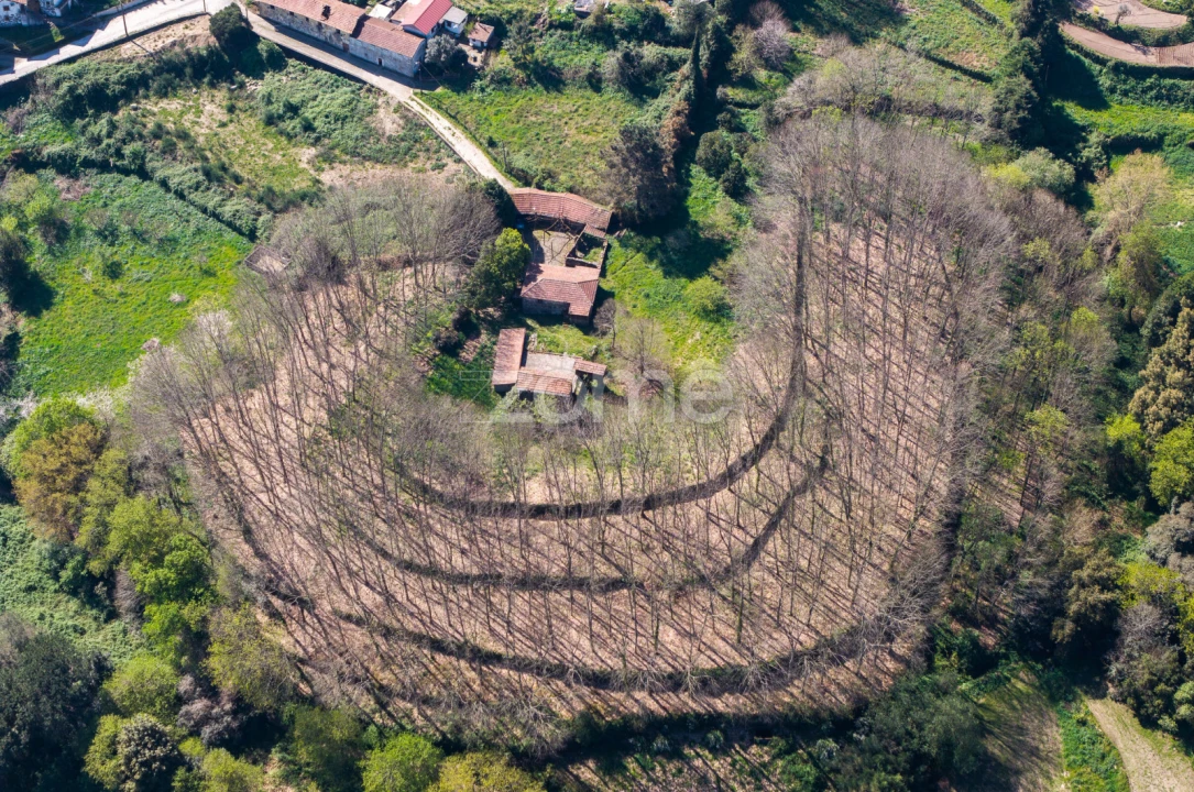 Quinta T2 para Venda em Cete Foto 10
