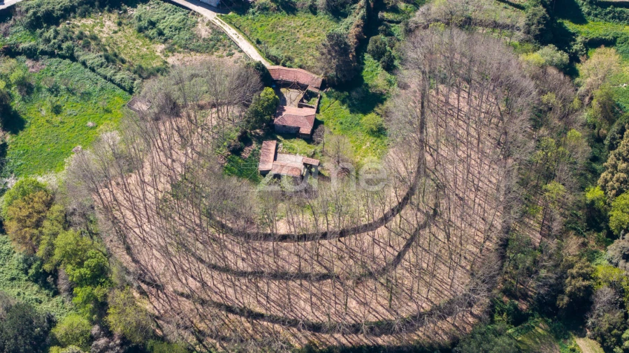 Quinta T4 para Venda em Cete