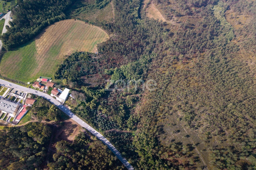 Terreno para Venda em Sobreira Foto 12