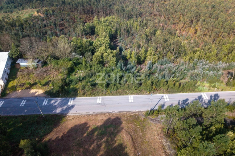 Terreno para Venda em Sobreira Foto 4
