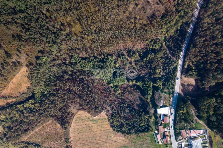 Terreno para Venda em Sobreira Foto 9