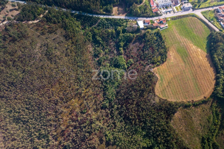 Terreno para Venda em Sobreira Foto 10