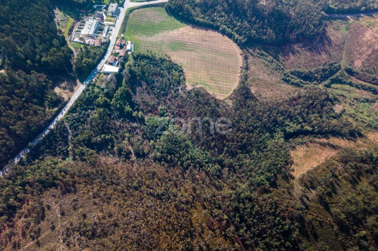 Terreno para Venda em Sobreira Foto 11