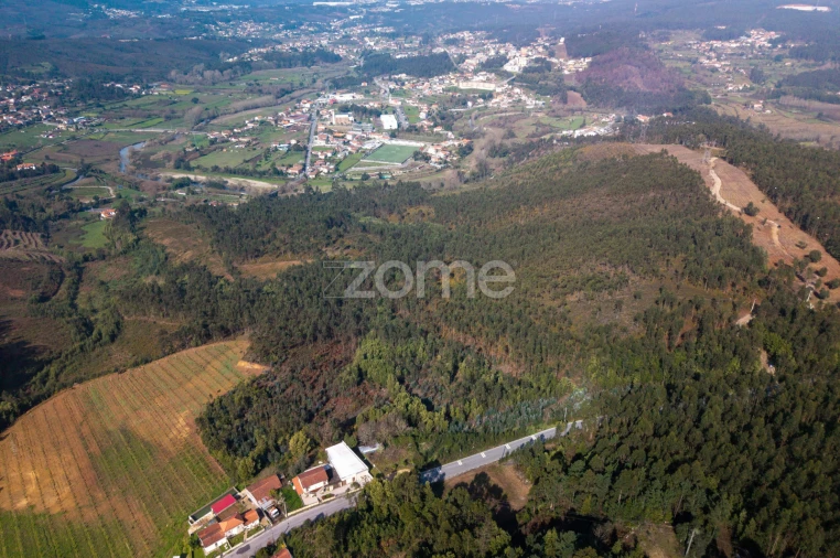 Terreno para Venda em Sobreira Foto 13