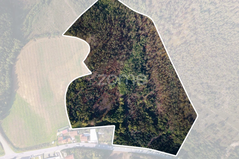 Terreno para Venda em Sobreira Foto 15