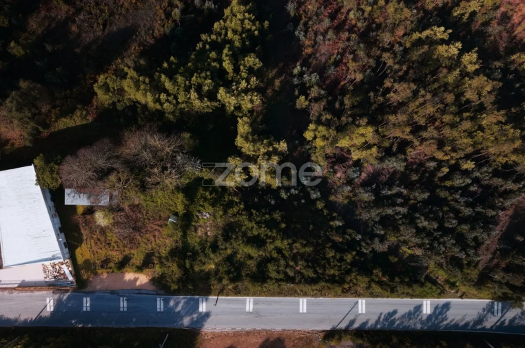 Terreno para Venda em Sobreira Foto 8