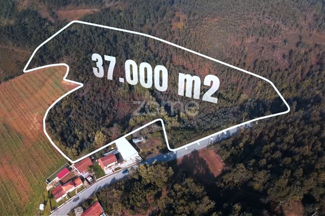 Terreno para Venda em Sobreira Foto 1