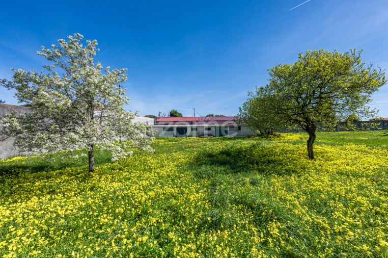 Moradia T5 para Venda em Canidelo Foto 36