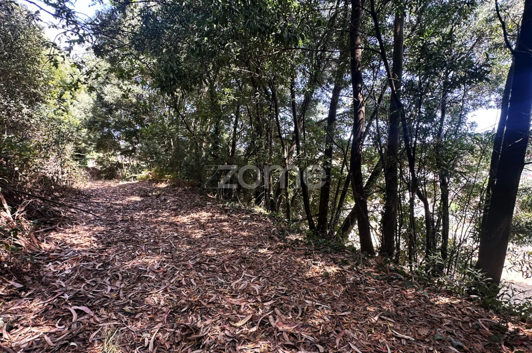 Moradia T4 para Venda em Custóias, Leça do Balio e Guifões Foto 27