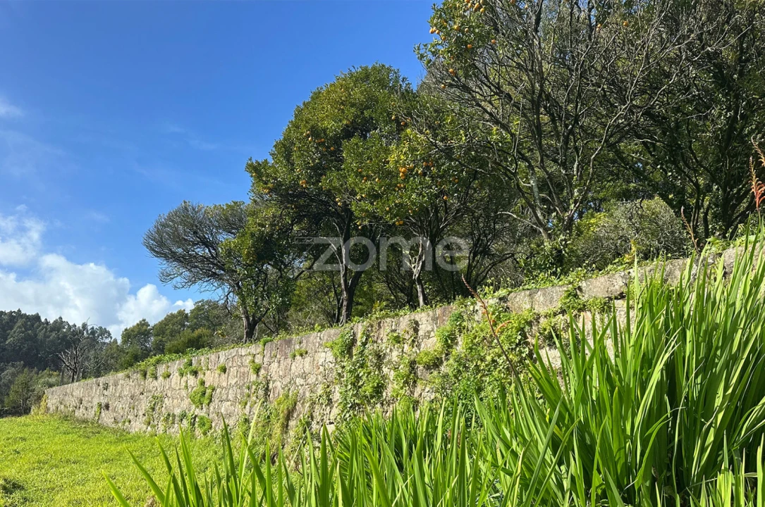 Moradia T4 para Venda em Custóias, Leça do Balio e Guifões Foto 9