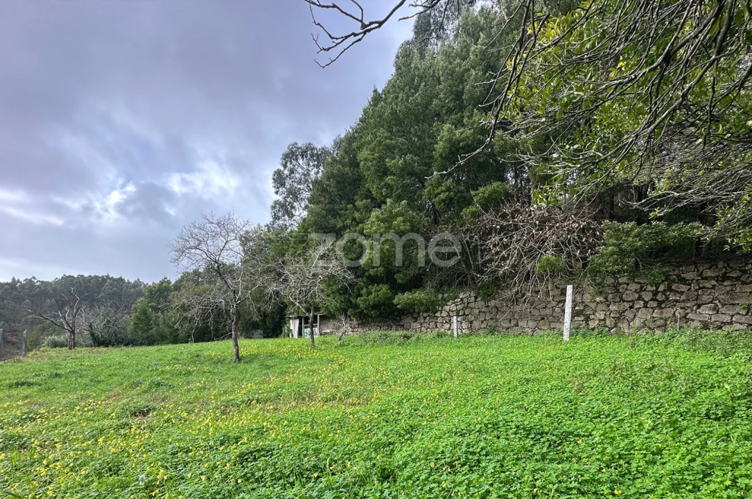 Moradia T4 para Venda em Custóias, Leça do Balio e Guifões Foto 11