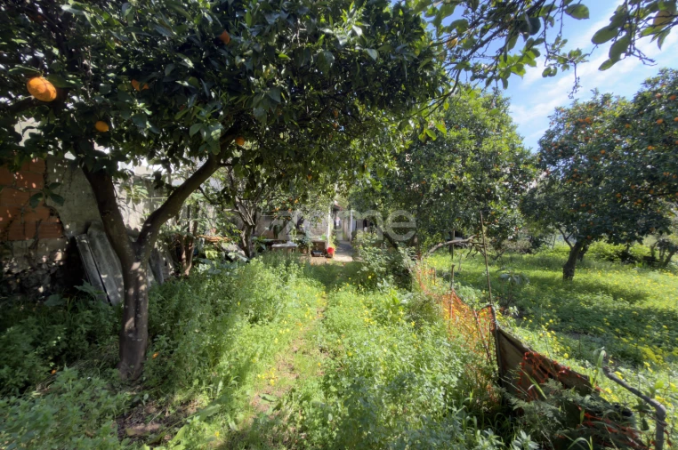 Moradia T13 para Venda em Sé Nova, Santa Cruz, Almedina e São Bartolomeu Foto 16