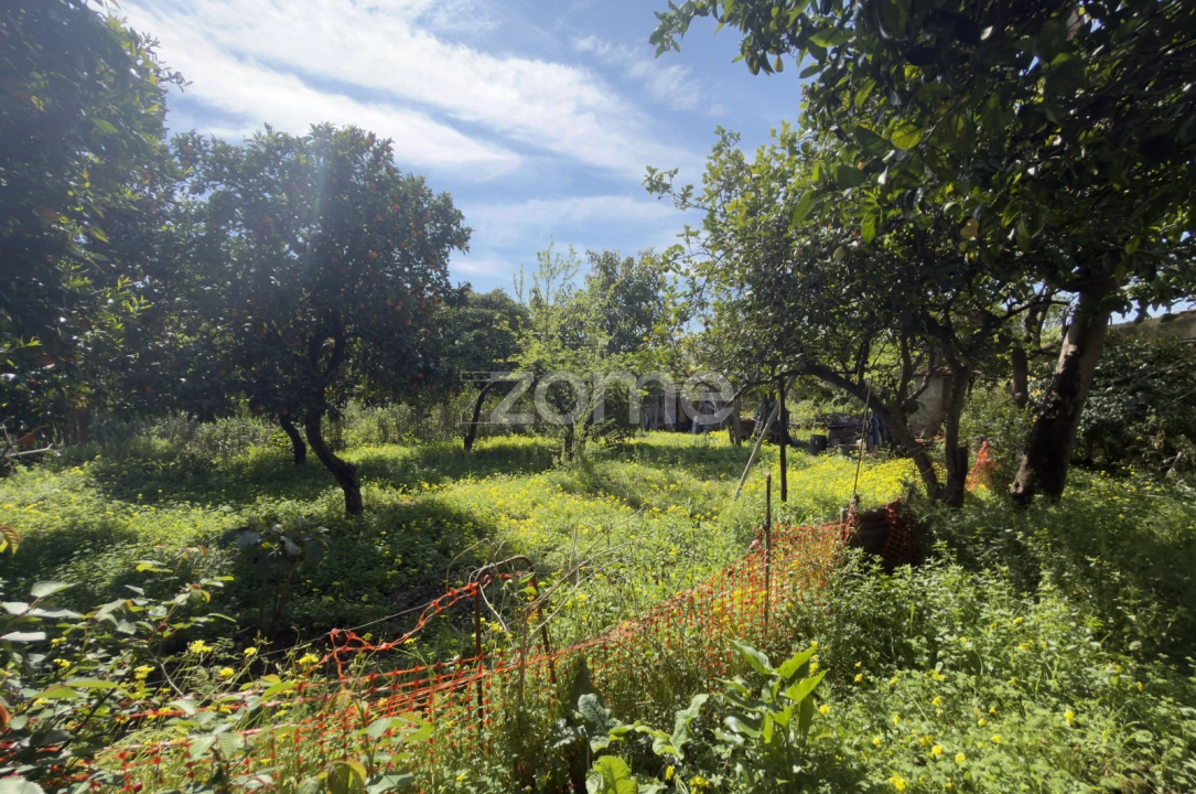 Moradia T13 para Venda em Sé Nova, Santa Cruz, Almedina e São Bartolomeu Foto 14