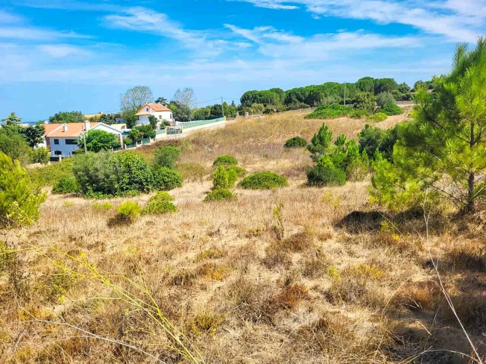 Terreno para Venda em Azeitão (São Lourenço e São Simão) Foto 3