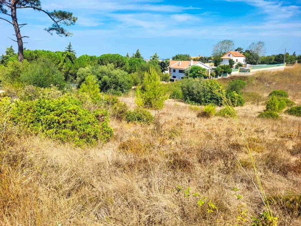 Terreno para Venda em Azeitão (São Lourenço e São Simão) Foto 6