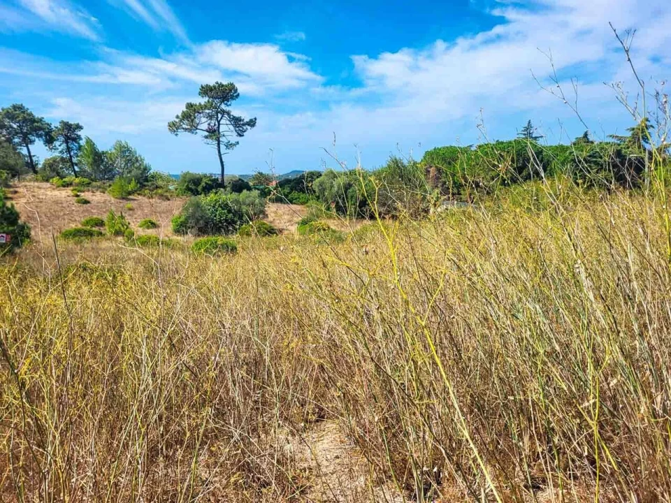 Terreno para Venda em Azeitão (São Lourenço e São Simão) Foto 7