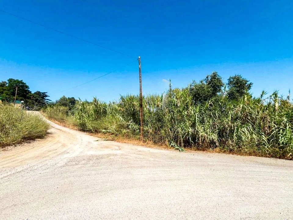 Terreno para Venda em Azeitão (São Lourenço e São Simão) Foto 10