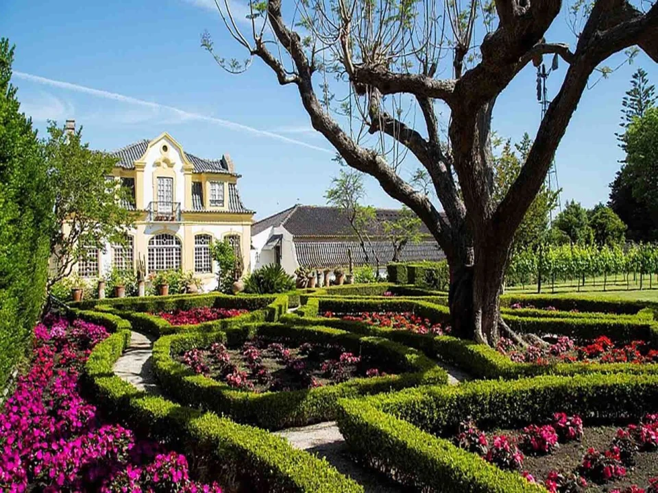 Terreno para Venda em Azeitão (São Lourenço e São Simão) Foto 15