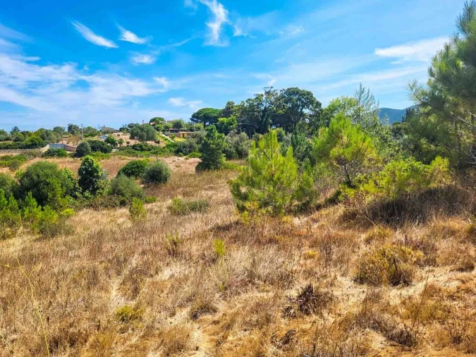 Terreno para Venda em Azeitão (São Lourenço e São Simão) Foto 4