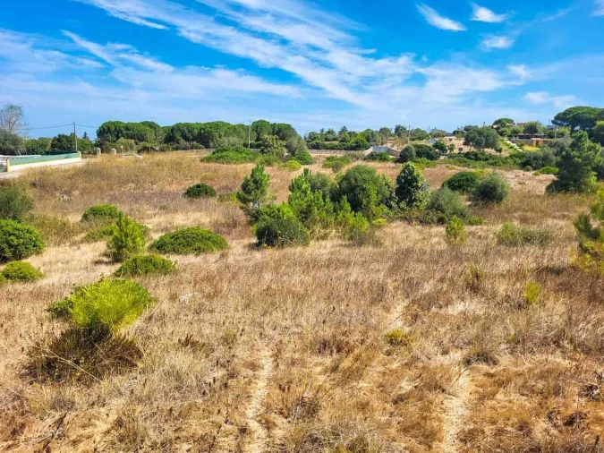 Terreno para Venda em Azeitão (São Lourenço e São Simão) Foto 5
