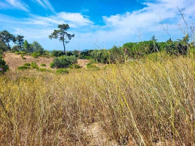 Terreno para Venda em Azeitão (São Lourenço e São Simão) Foto 7