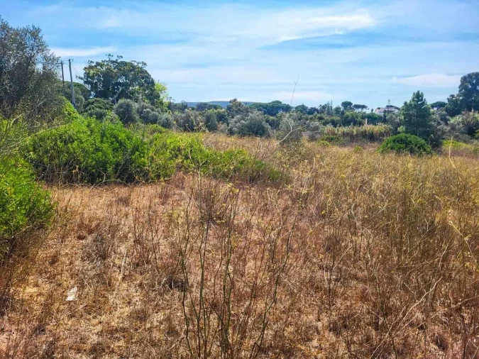 Terreno para Venda em Azeitão (São Lourenço e São Simão) Foto 8