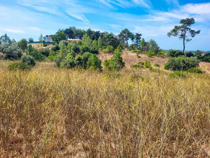 Terreno para Venda em Azeitão (São Lourenço e São Simão) Foto 9