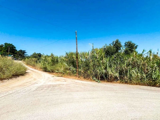 Terreno para Venda em Azeitão (São Lourenço e São Simão) Foto 10